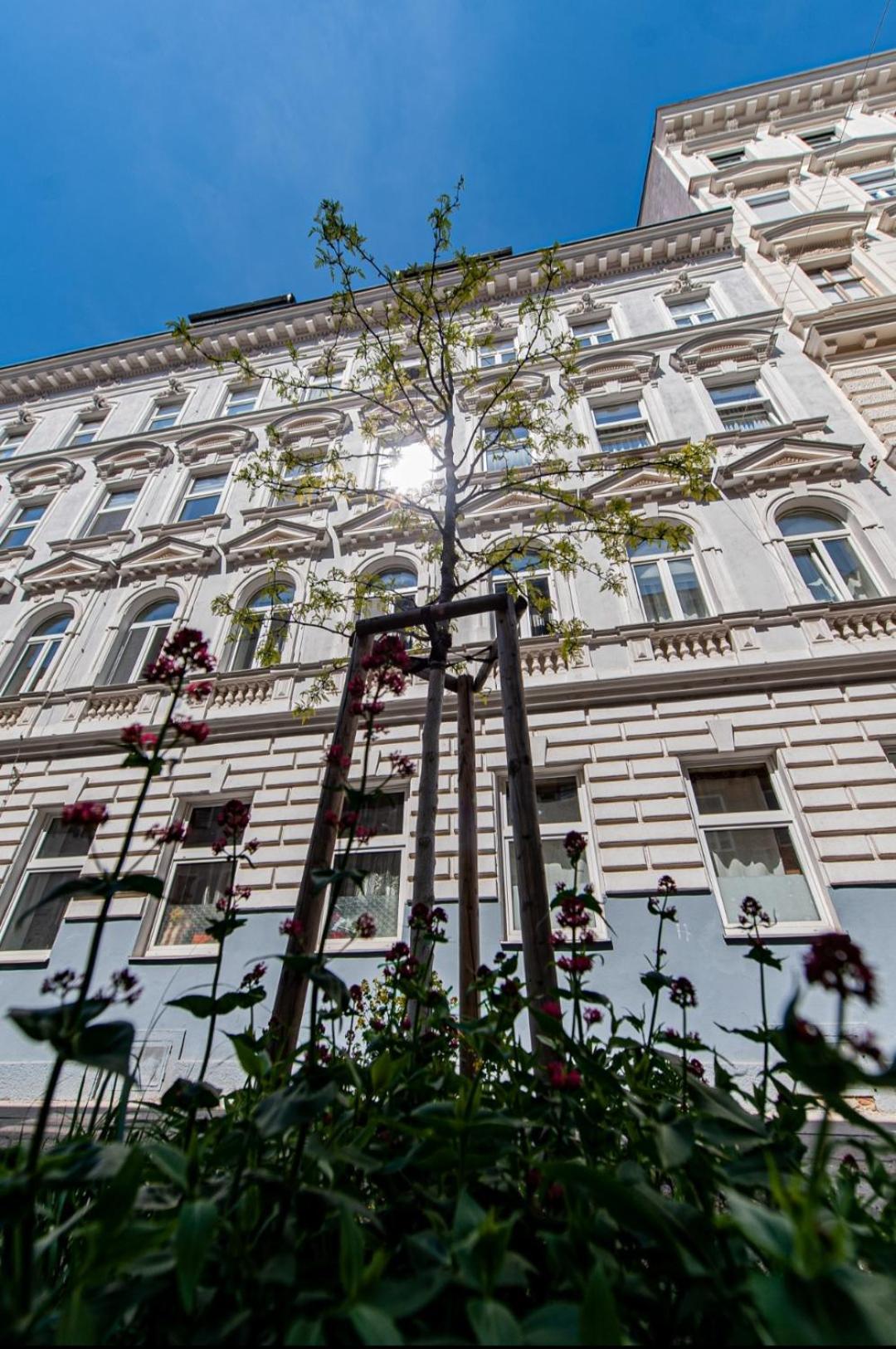Vienna My City Apartment 2Bedroom Eksteriør billede